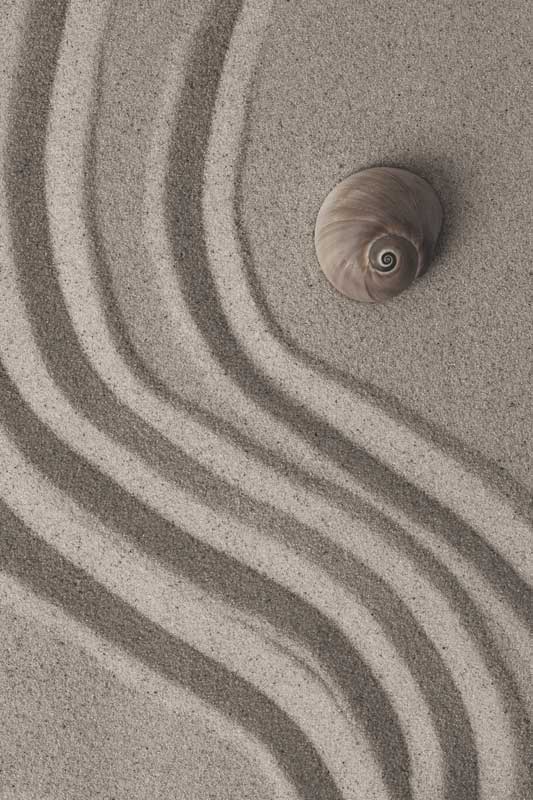 schnecke-kl
